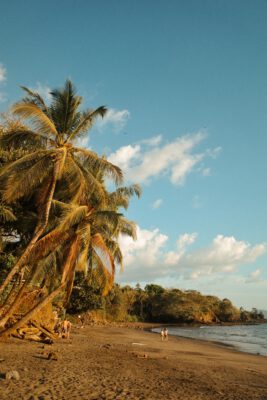 dunkler Strand